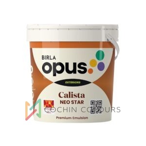 Birla Opus Calista Neo Star: Ultimate Dust-Resistant Exterior Paint