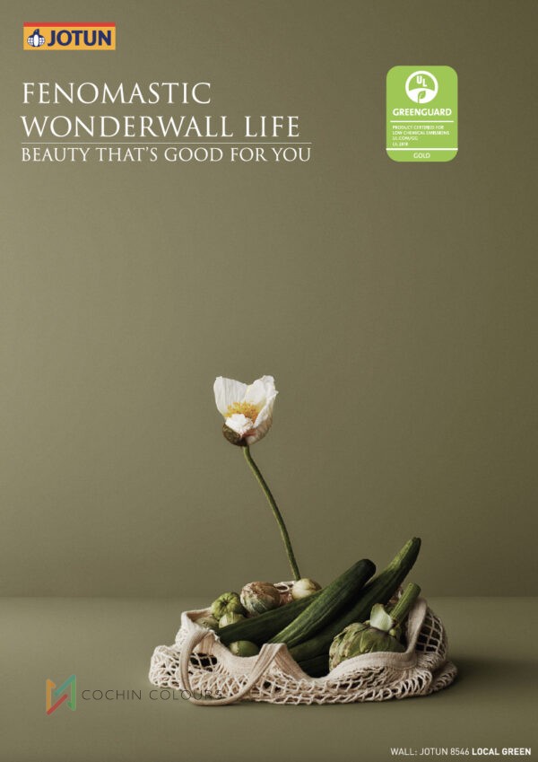 Transform Your Home with Fenomastic Wonderwall Life: Superior Indoor Air Quality Paint