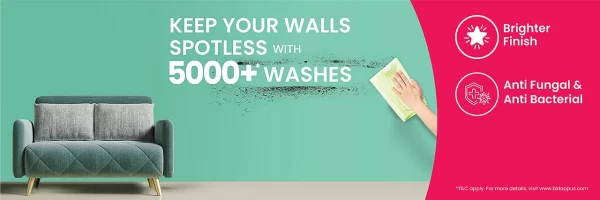 Calista Ever Wash - Long-lasting Brightness with 5-Year Warranty