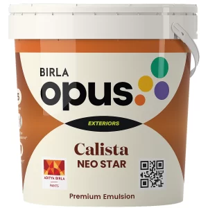 Birla Opus Calista Neo Star Exterior Paint