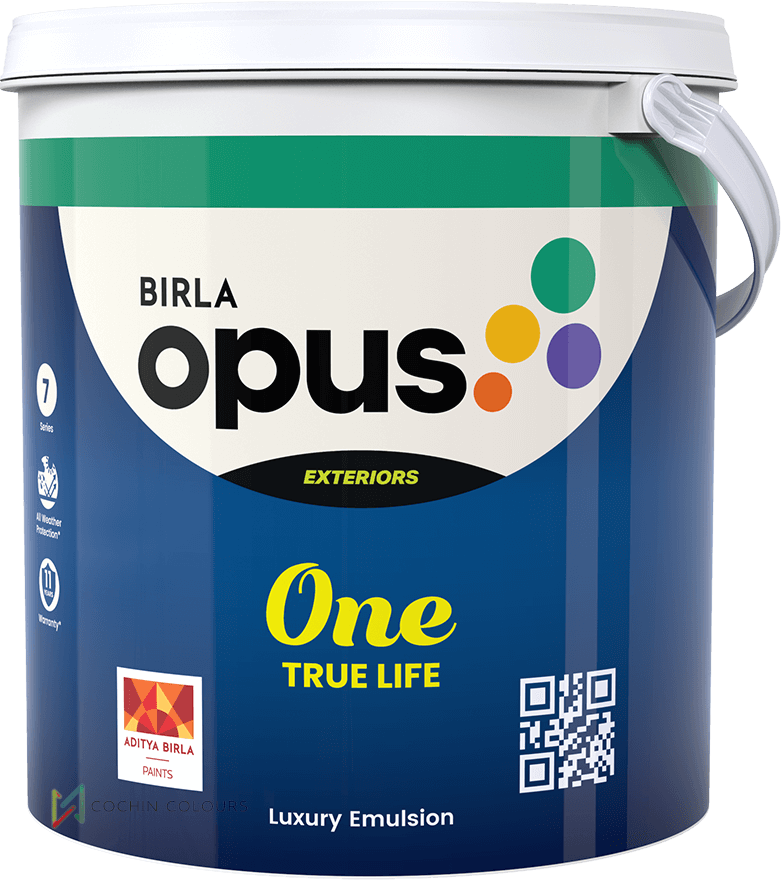 Birla Opus One True Life Exterior Paint