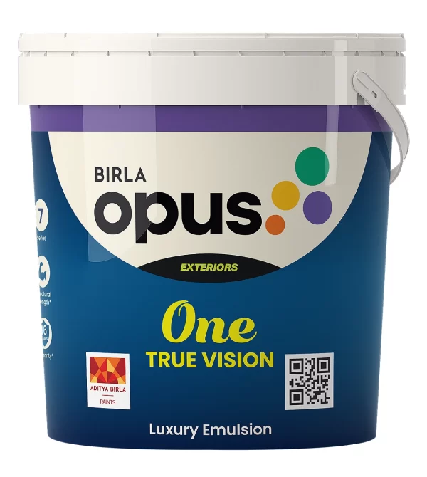 Durable and Elegant: Birla Opus One True Vision Paint