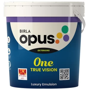 Birla Opus One True Vision Exterior Paint